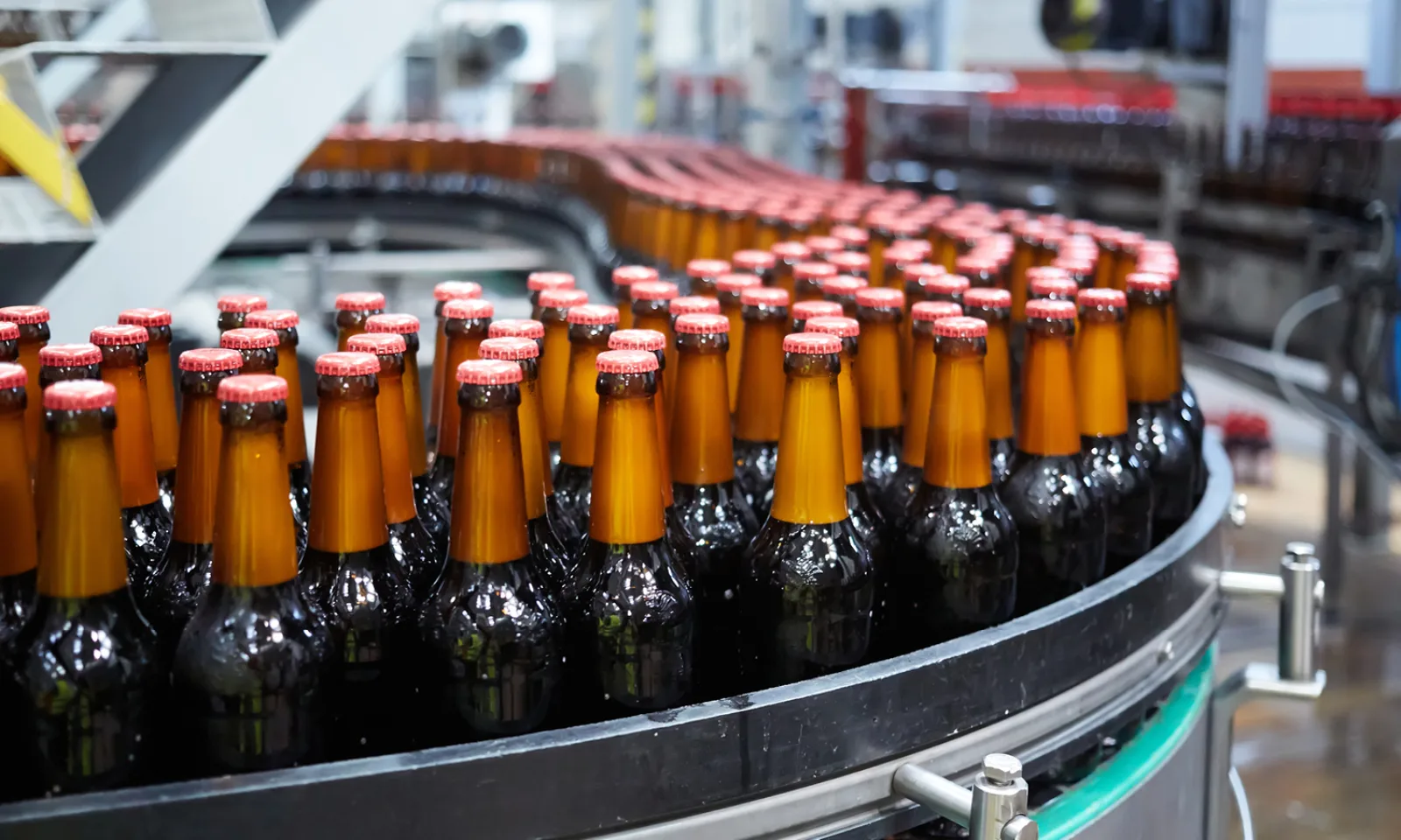 Filled bottles massed on a conveyor curve, running to the next station